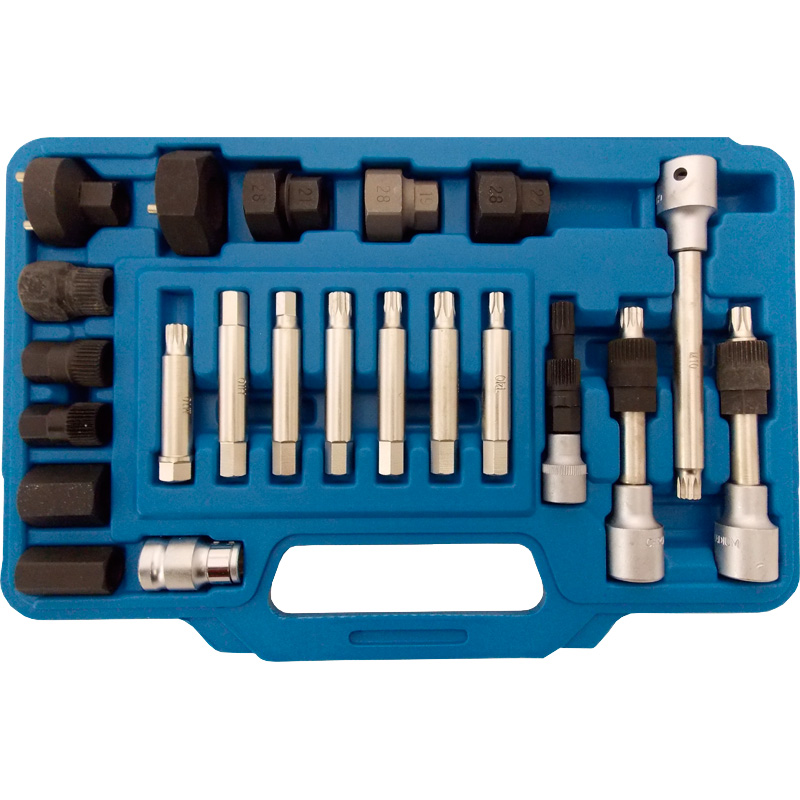 Alba Alternator Free-Wheel Pulley Set - 22pcs